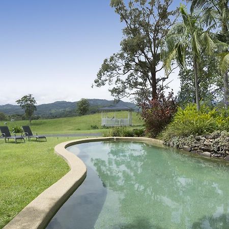 希尔克雷斯特山景度假住宿加早餐旅馆 Crystal Creek 外观 照片