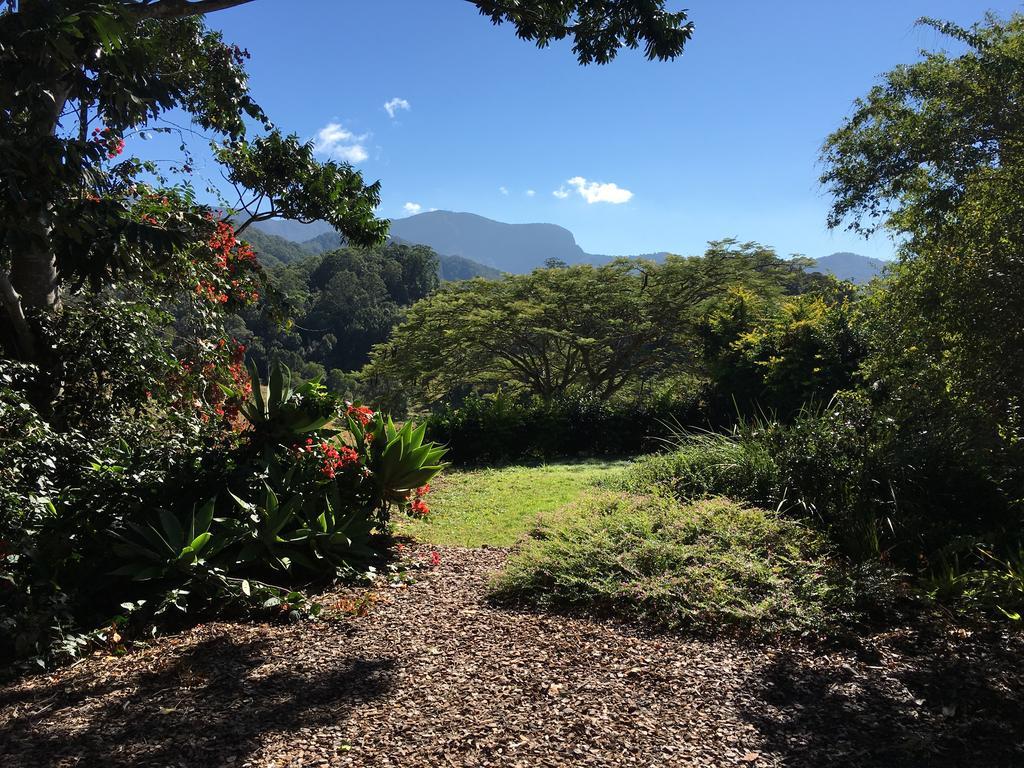 希尔克雷斯特山景度假住宿加早餐旅馆 Crystal Creek 外观 照片