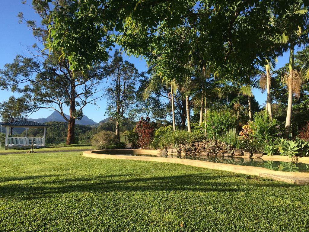 希尔克雷斯特山景度假住宿加早餐旅馆 Crystal Creek 外观 照片