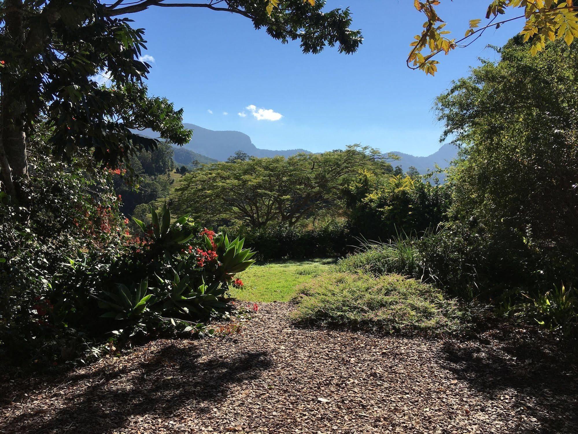 希尔克雷斯特山景度假住宿加早餐旅馆 Crystal Creek 外观 照片
